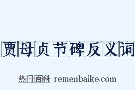 贾母贞节碑反义词是什么意思的图片